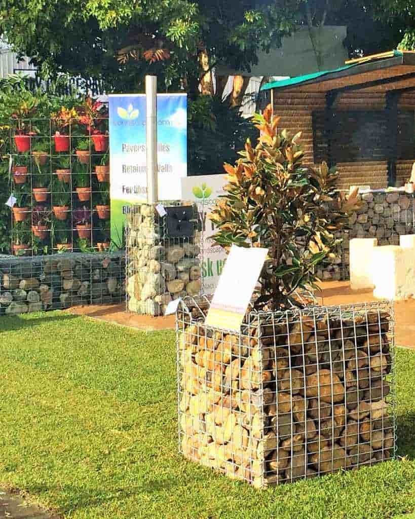 Gabion Tree Ring