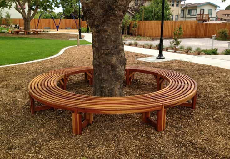 bench style tree ring