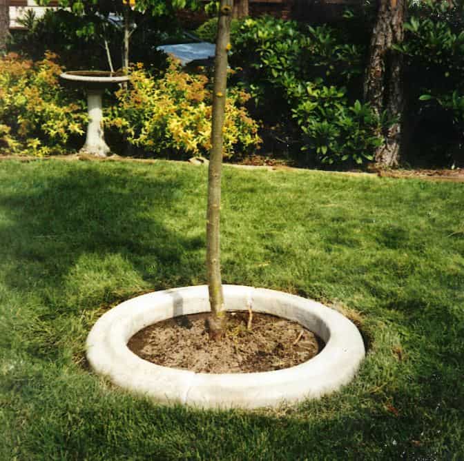 concrete tree ring