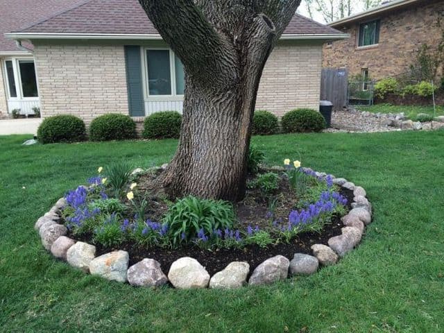 Stone tree ring