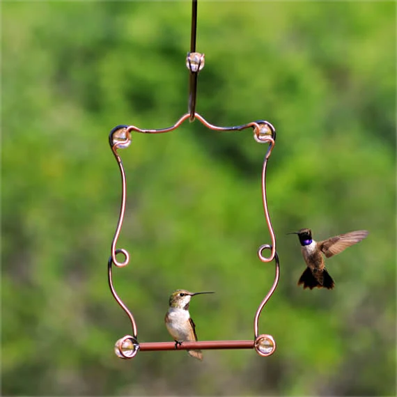 A Perch for hummingbird