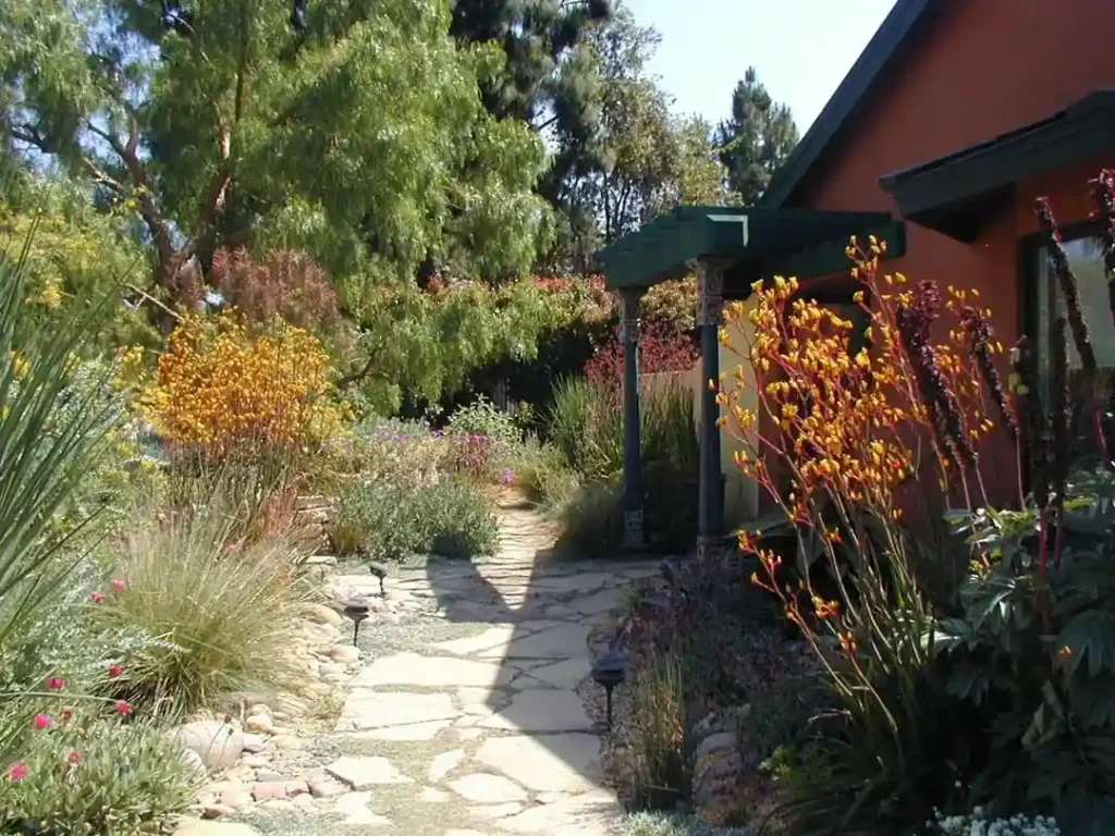 Native Flower Plantation Farm