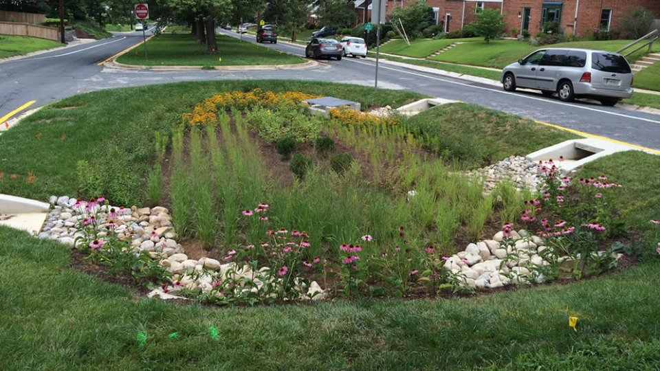 Sustainable Bioretention Garden