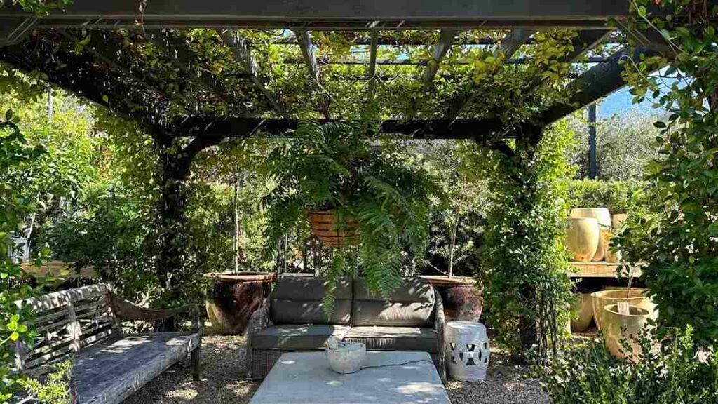 Trellis Patio Extension with House Plants