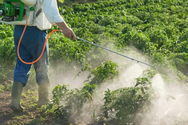Application of pesticides in a field