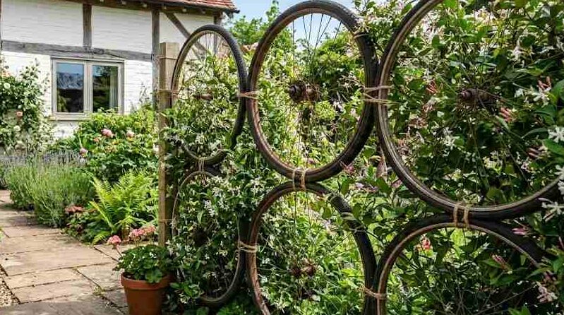 An Image showing DIY The Repurposed Bicycle Wheel Jasmine Trellis Fence 