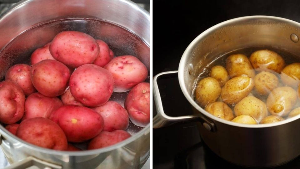 Boiled Red Vs Gold potatoes