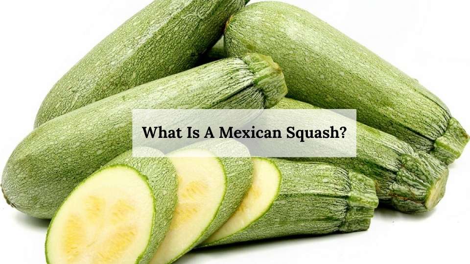 What Is A Mexican Squash?
