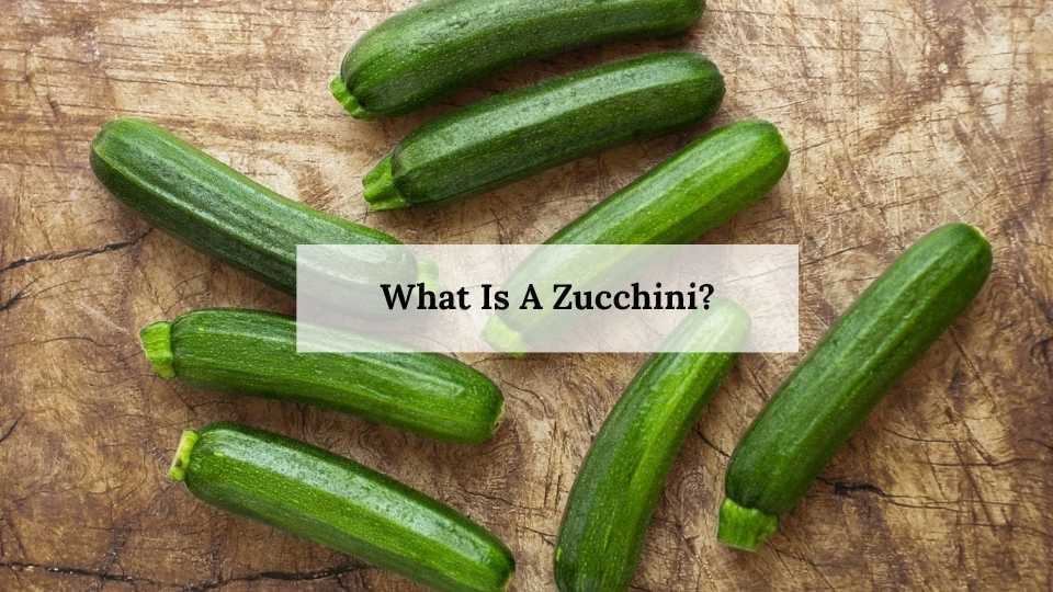 What Is A Zucchini?