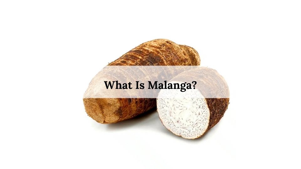 What Is Malanga?