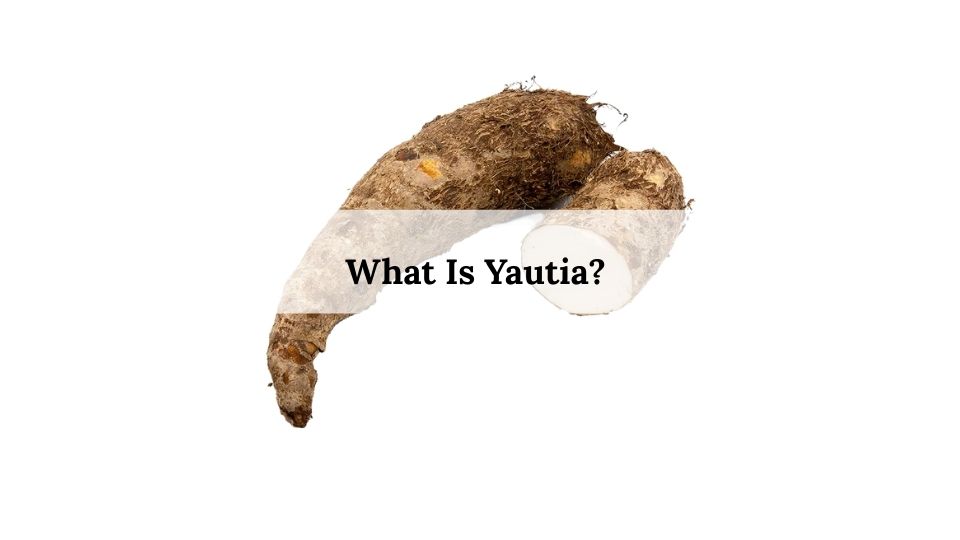 What Is Yautia ?